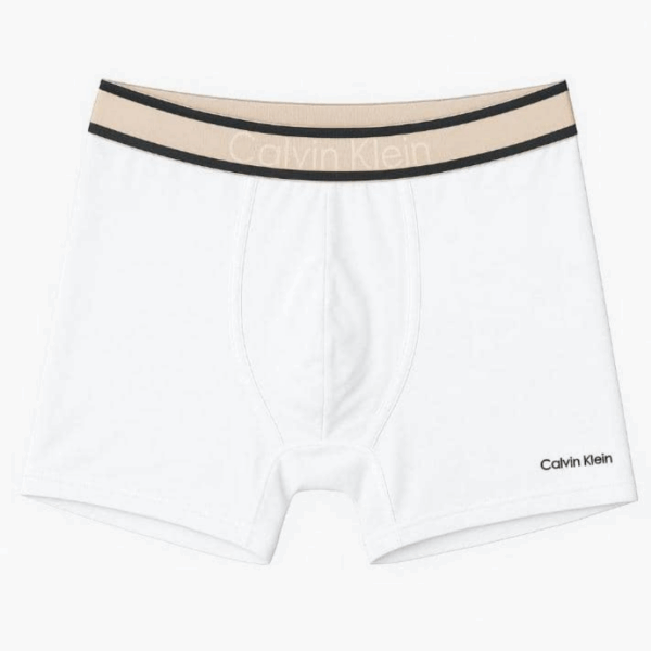 Boxer CALVIN KLEIN en Coton Stretch – Image 3